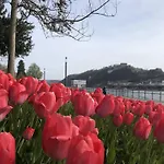 Viktoria コブレンツ