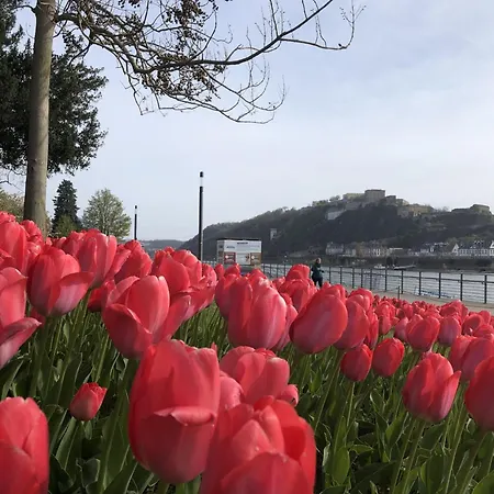 Viktoria Кобленц