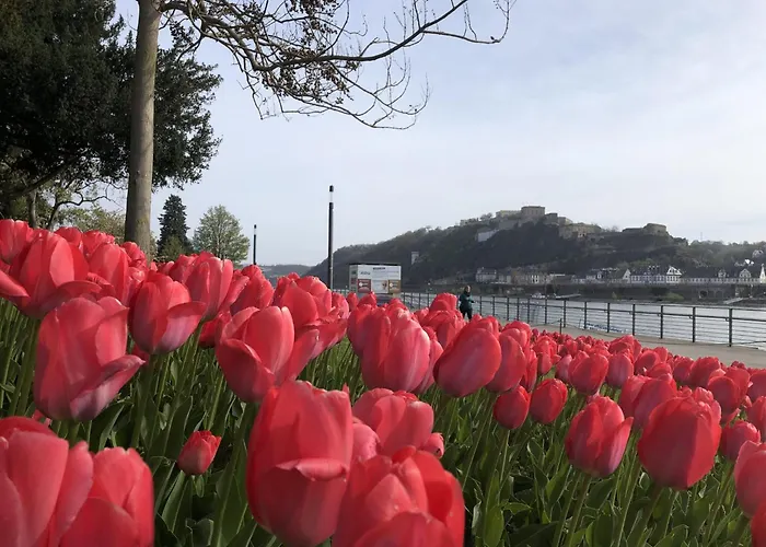 Viktoria Koblenz (Rhineland-Palatinate)